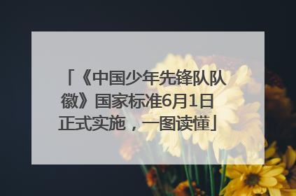 《中国少年先锋队队徽》国家标准6月1日正式实施，一图读懂