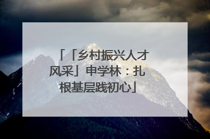 「乡村振兴人才风采」申学林：扎根基层践初心