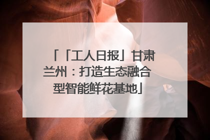 「工人日报」甘肃兰州：打造生态融合型智能鲜花基地