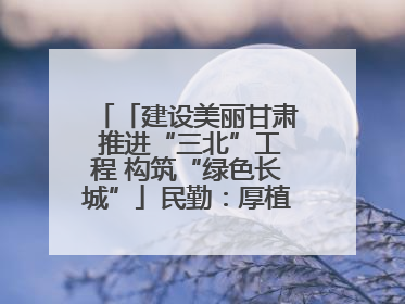 「建设美丽甘肃 推进“三北”工程 构筑“绿色长城”」民勤：厚植生态底色 筑牢绿色屏障