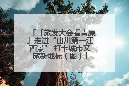 「旅发大会看青原」走进“山川第一江西景” 打卡城市文旅新地标（图）
