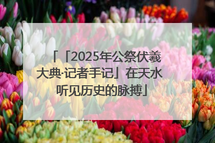 「2025年公祭伏羲大典·记者手记」在天水 听见历史的脉搏