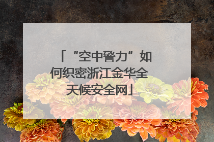 “空中警力”如何织密浙江金华全天候安全网