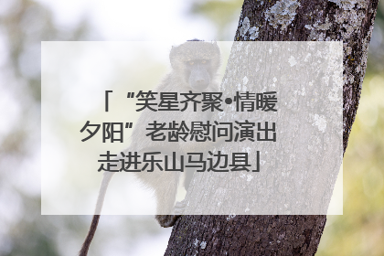 “笑星齐聚•情暖夕阳”老龄慰问演出走进乐山马边县