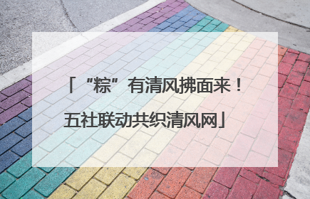 “粽”有清风拂面来！五社联动共织清风网