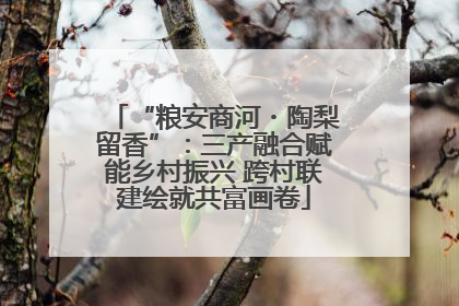 “粮安商河・陶梨留香”：三产融合赋能乡村振兴 跨村联建绘就共富画卷
