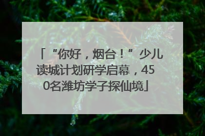 “你好，烟台！”少儿读城计划研学启幕，450名潍坊学子探仙境