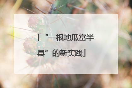 “一根地瓜富半县”的新实践