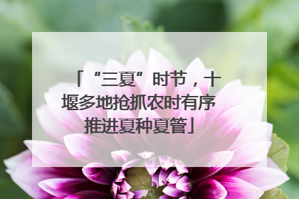 “三夏”时节，十堰多地抢抓农时有序推进夏种夏管