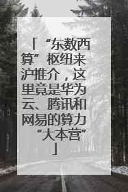 “东数西算”枢纽来沪推介，这里竟是华为云、腾讯和网易的算力“大本营”