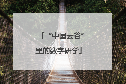 “中国云谷”里的数字研学