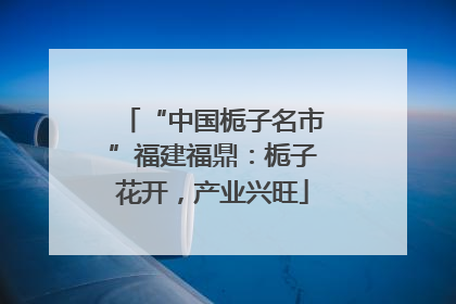 “中国栀子名市”福建福鼎：栀子花开，产业兴旺