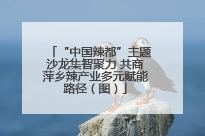 “中国辣都”主题沙龙集智聚力 共商萍乡辣产业多元赋能路径（图）