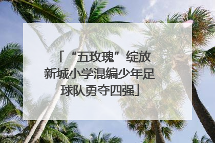 “五玫瑰”绽放 新城小学混编少年足球队勇夺四强