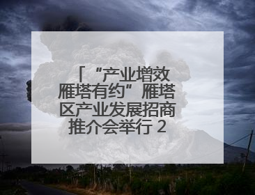 “产业增效 雁塔有约”雁塔区产业发展招商推介会举行 25个项目签约