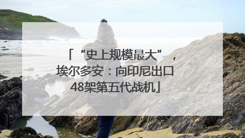 “史上规模最大”，埃尔多安：向印尼出口48架第五代战机