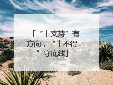 “十支持”有方向，“十不得”守底线
