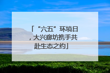 “六五”环境日，大兴廊坊携手共赴生态之约