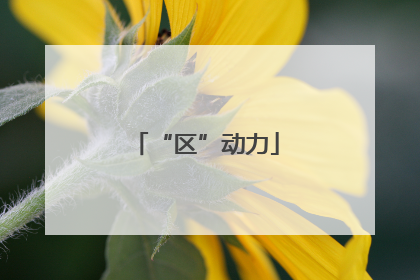 “区”动力