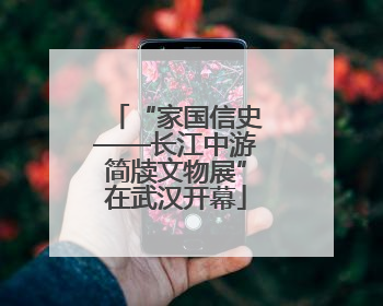 “家国信史——长江中游简牍文物展”在武汉开幕