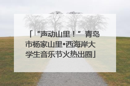 “声动山里！”青岛市杨家山里•西海岸大学生音乐节火热出圈