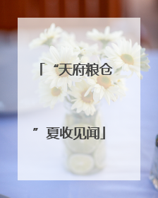 “天府粮仓”夏收见闻