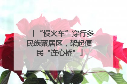 “慢火车”穿行多民族聚居区，架起便民“连心桥”