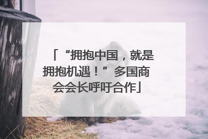 “拥抱中国，就是拥抱机遇！”多国商会会长呼吁合作