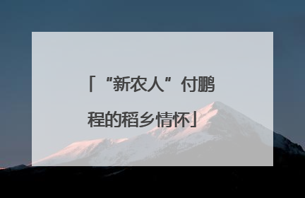 “新农人”付鹏程的稻乡情怀
