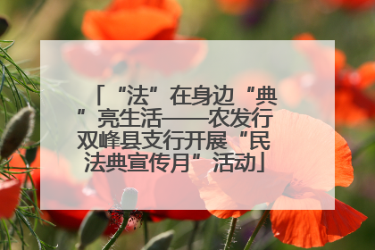 “法”在身边“典”亮生活——农发行双峰县支行开展“民法典宣传月”活动
