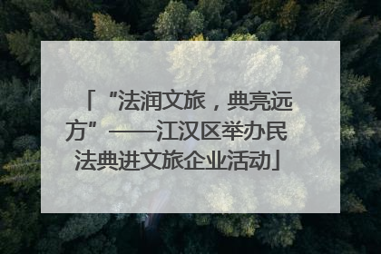 “法润文旅，典亮远方”——江汉区举办民法典进文旅企业活动