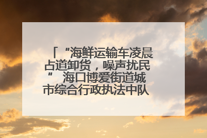 “海鲜运输车凌晨占道卸货，噪声扰民” 海口博爱街道城市综合行政执法中队：将联合交警加强长堤路一带巡逻