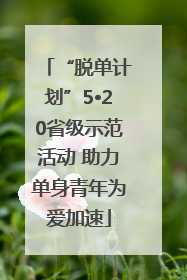 “脱单计划”5•20省级示范活动 助力单身青年为爱加速