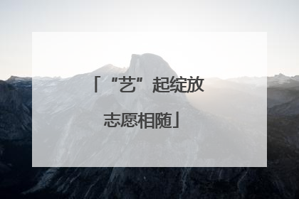 “艺”起绽放 志愿相随