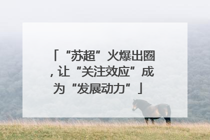“苏超”火爆出圈，让“关注效应”成为“发展动力”