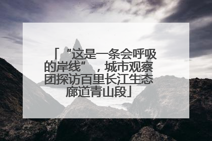 “这是一条会呼吸的岸线”，城市观察团探访百里长江生态廊道青山段