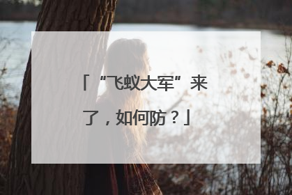 “飞蚁大军”来了，如何防？
