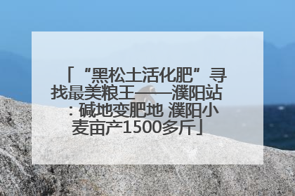 “黑松土活化肥”寻找最美粮王——濮阳站：碱地变肥地 濮阳小麦亩产1500多斤