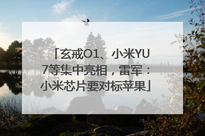 玄戒O1、小米YU7等集中亮相，雷军：小米芯片要对标苹果