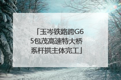 玉岑铁路跨G65包茂高速特大桥系杆拱主体完工