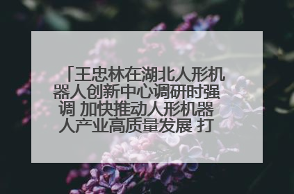 王忠林在湖北人形机器人创新中心调研时强调 加快推动人形机器人产业高质量发展 打造具有全国影响力的研发创新基地