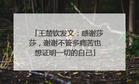 王楚钦发文：感谢莎莎，谢谢不管多痛苦也想证明一切的自己