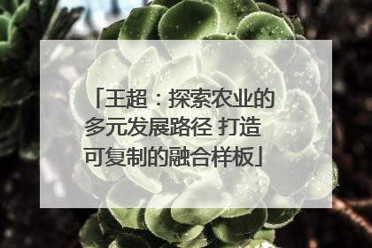 王超：探索农业的多元发展路径 打造可复制的融合样板