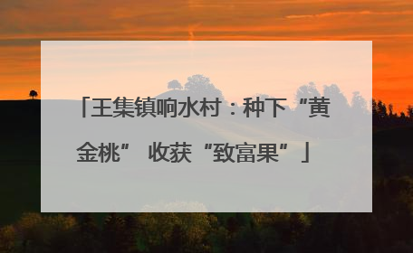 王集镇响水村：种下“黄金桃” 收获“致富果”