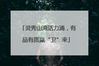 灵秀山湾活力涌，有品有质赢“卫”来