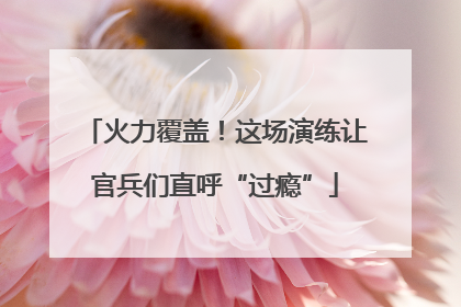火力覆盖！这场演练让官兵们直呼“过瘾”