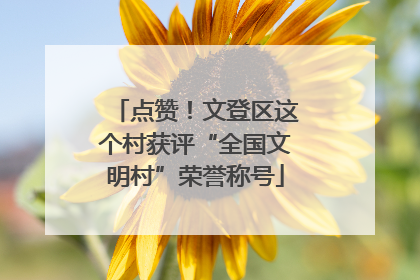 点赞！文登区这个村获评“全国文明村”荣誉称号