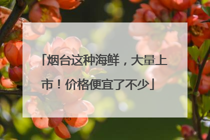 烟台这种海鲜，大量上市！价格便宜了不少