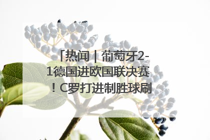 热闻｜葡萄牙2-1德国进欧国联决赛！C罗打进制胜球刷爆3大纪录！
