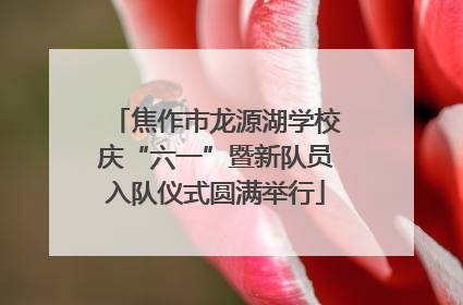 焦作市龙源湖学校庆“六一”暨新队员入队仪式圆满举行